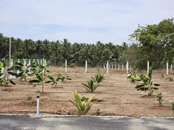 21 Cent Agricultural/Farm Land For Sale In Kinathukadavu, Coimbatore