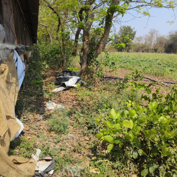 Property for sale in Khadka, Nagpur
