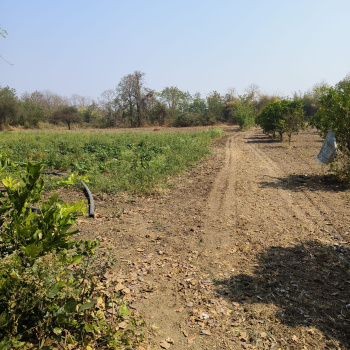 Property for sale in Khadka, Nagpur