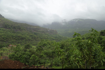 21780 Sq.ft. Agricultural/Farm Land For Sale In Pali, Raigad