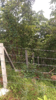 Property for sale in Sudhagad, Raigad