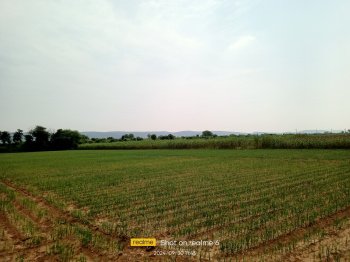 3 Bigha Agricultural/Farm Land for Sale in Alwar Bypass Road Alwar Bypass Road, Bhiwadi