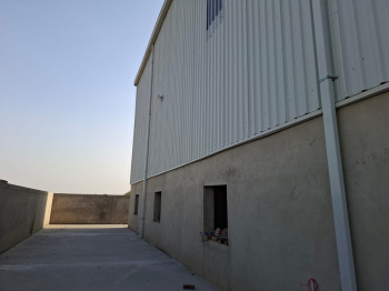 Factory / Industrial Building for Rent in Karoli, Bhiwadi (2000 Sq.ft.)