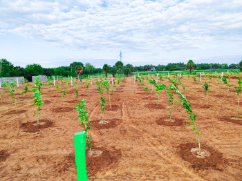 Property for sale in Madurantakam, Chennai