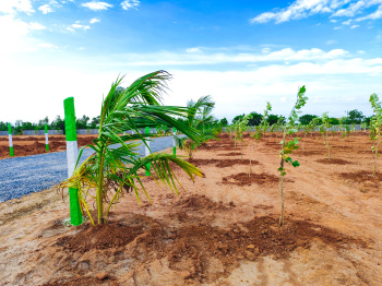 Property for sale in Acharapakkam, Chengalpattu