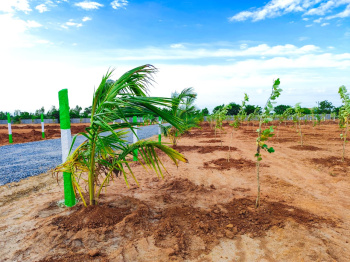 Property for sale in Madurantakam, Chennai