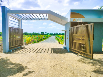Agricultural/Farm Land for Sale in Tindivanam, Chennai (9600 Sq.ft.)