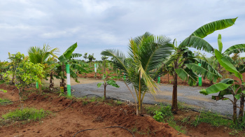 Property for sale in Walajabad, Kanchipuram