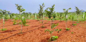 Property for sale in Walajabad, Kanchipuram