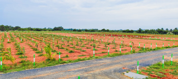 Property for sale in Walajabad, Kanchipuram