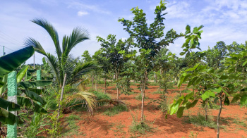 Property for sale in Madhurandagam, Chennai