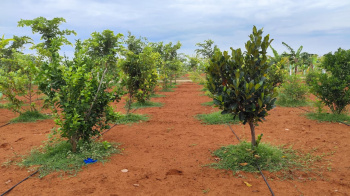 Property for sale in Madhurandagam, Chennai