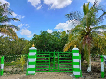 Farm House With Farm Land For Sale