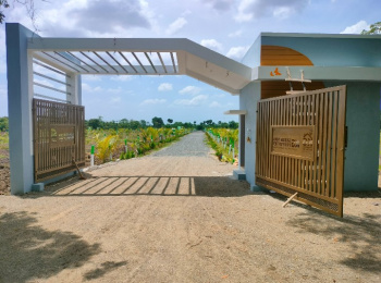 Agricultural/Farm Land for Sale in Tindivanam, Chennai (9600 Sq.ft.)