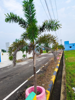Property for sale in Uthiramerur, Kanchipuram
