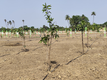Agricultural/Farm Land for Sale in Salavakkam, Kanchipuram (9600 Sq.ft.)