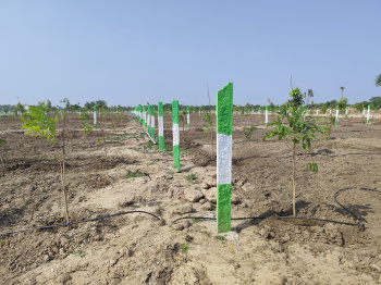 Property for sale in Salavakkam, Kanchipuram