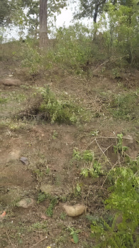 Agricultural/Farm Land for Sale in Gajiyawala, Dehradun (8.5 Bigha)