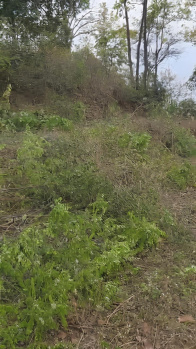 Property for sale in Gajiyawala, Dehradun