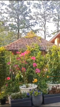 Villa for Sale in Sahastradhara Road, Dehradun (980 Sq. Yards)