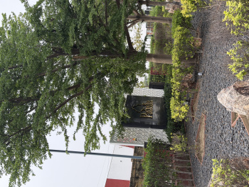 Property for sale in Civil Lines, Patiala