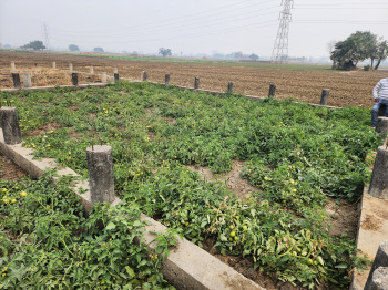 Property for sale in Sampatchak, Patna
