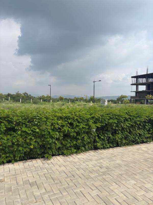 Plots available in near mountains