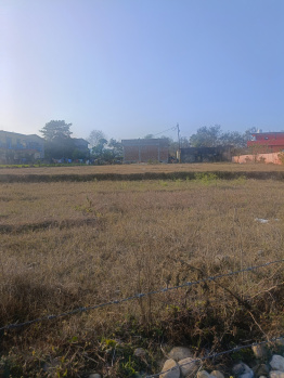 2 Bigha Residential Plot for Sale in Raiwala, Dehradun