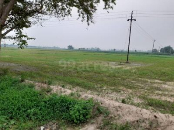 125 Sq. Yards Residential Plot for Sale in Sector 120, Mohali