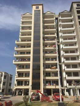 3 BHK Flats & Apartments for Sale in Sector 127, Mohali (1625 Sq.ft.)