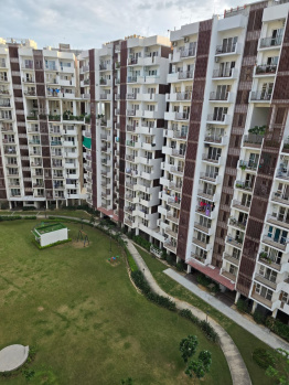 Hot Sale 2 BHK in JLPL Sky Gardens