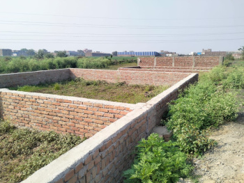Property for sale in Marchi, Patna