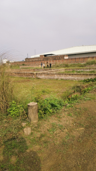 1800 Sq.ft. Residential Plot for Sale in Mahuli, Patna