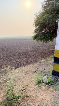 Commercial Lands /Inst. Land for Sale in Didarganj, Patna (3600 Sq.ft.)