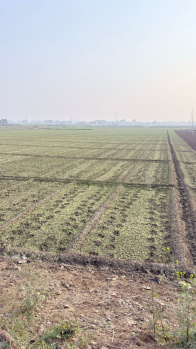 Property for sale in Didarganj, Patna