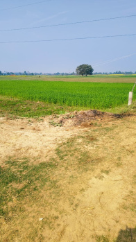 Property for sale in Fatwah, Patna