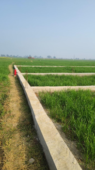 1800 Sq.ft. Residential Plot for Sale in Begampur, Patna