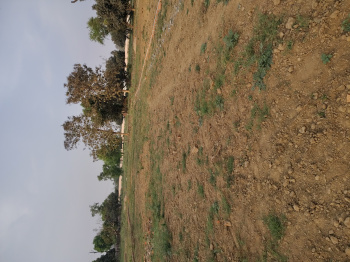 1000 Sq.ft. Residential Plot for Sale in Bihta, Patna