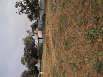 Property for sale in Bihta, Patna