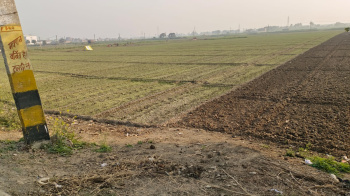 Residential Plot for Sale in Deedarganj, Patna (1200 Sq.ft.)