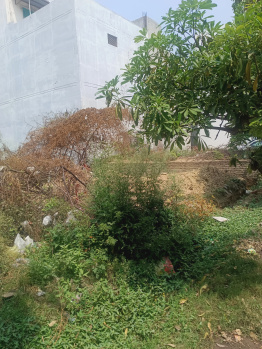 Residential Plot for Sale in New Moradabad, Moradabad (72 Sq. Meter)