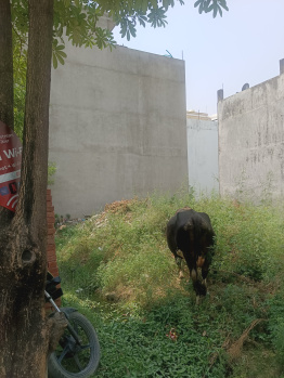 Residential Plot for Sale in New Moradabad, Moradabad (72 Sq. Meter)