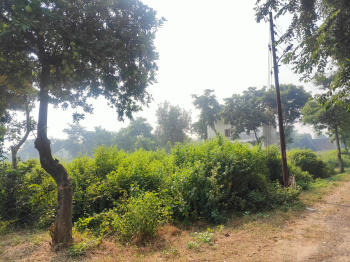 Residential Plot for Sale in New Moradabad, Moradabad (120 Sq. Meter)