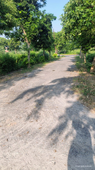 Residential Plot for Sale in New Moradabad, Moradabad (72 Sq. Meter)