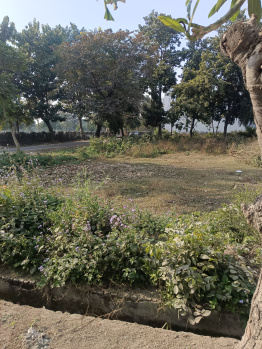 Residential Plot for Sale in New Moradabad, Moradabad (135 Sq. Meter)