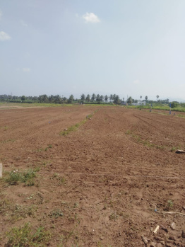 Property for sale in Puduchatram, Namakkal