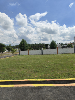 1922 Sq.ft. Residential Plot for Sale in Pollachi, Coimbatore