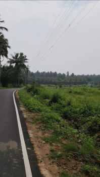 7 Acre Agricultural/Farm Land for Sale in Pollachi, Coimbatore