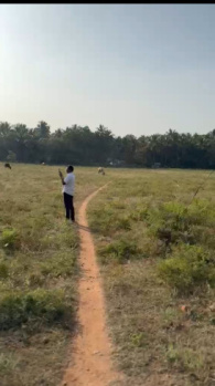 Agricultural/Farm Land for Sale in Pollachi, Coimbatore (3.60 Acre)