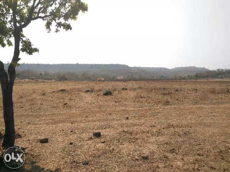4.25 Bigha Agricultural/Farm Land For Sale In Kayavarohan, Vadodara